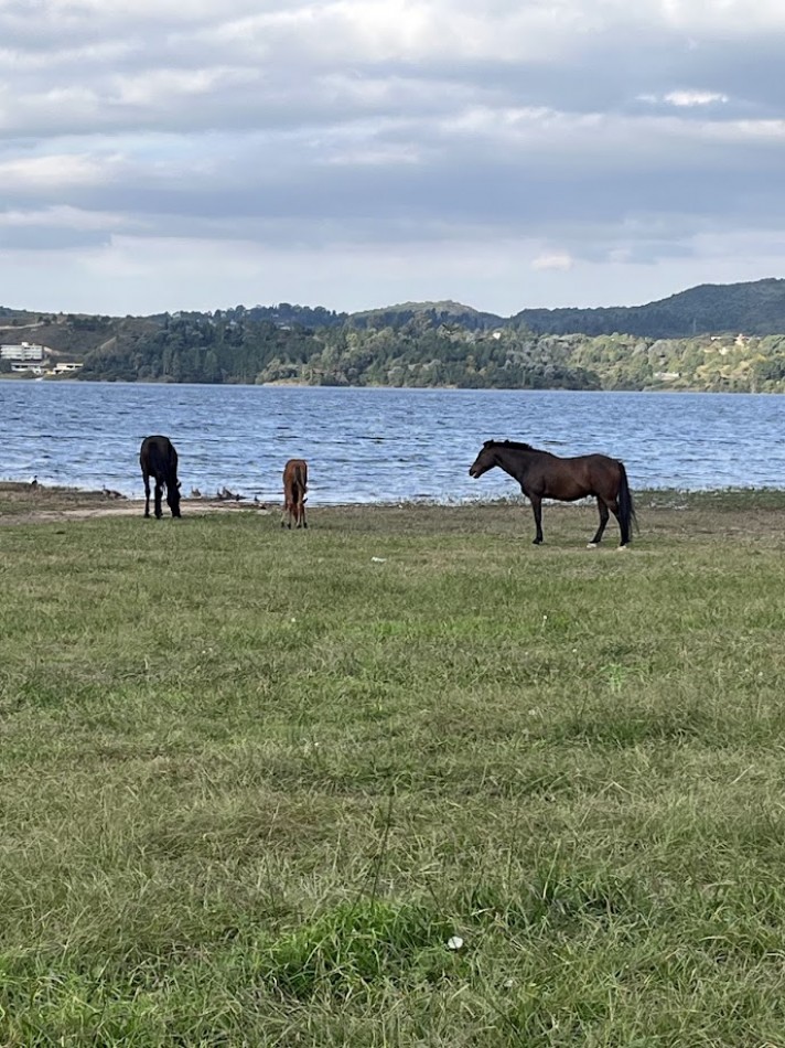 Lote en Potrero de Garay cerca del lago