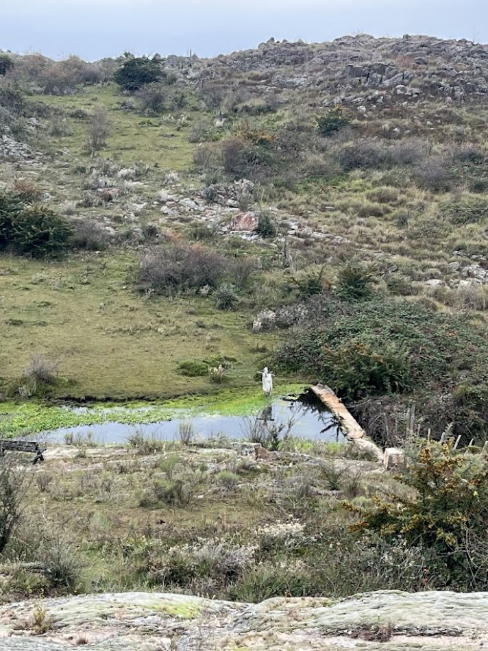Complejo de Cabañas Premium en La Cumbrecita