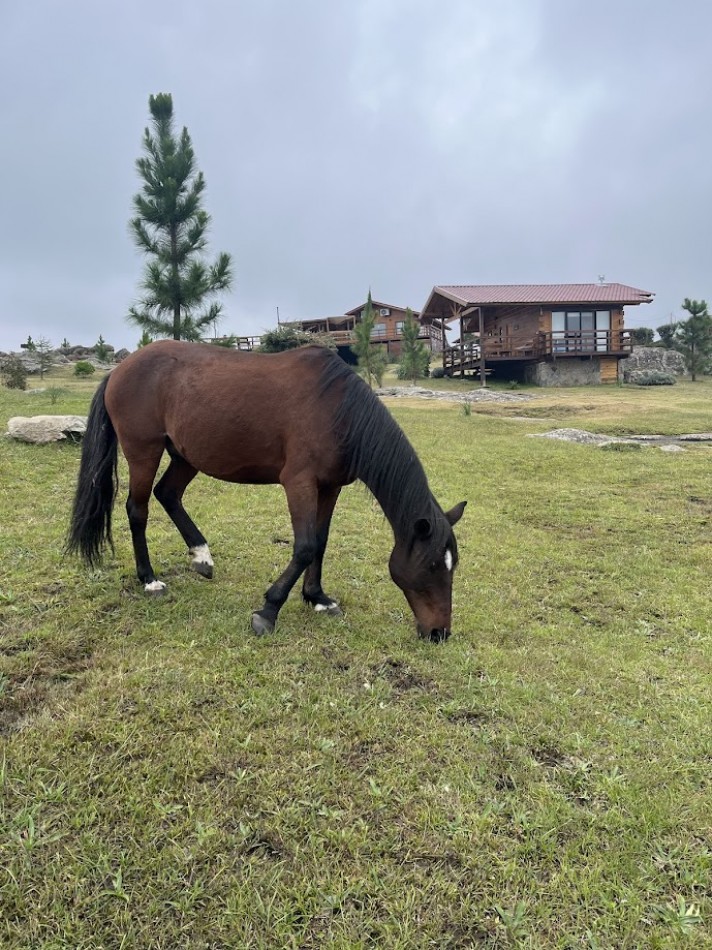 Complejo de Cabañas Premium en La Cumbrecita
