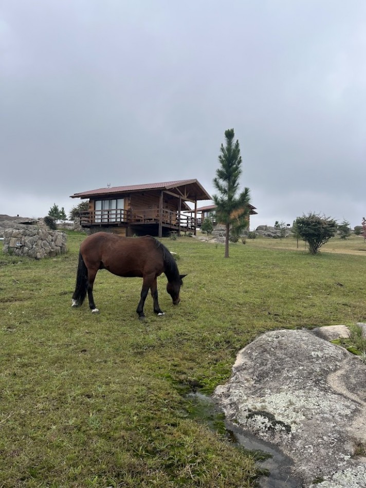 Complejo de Cabañas Premium en La Cumbrecita