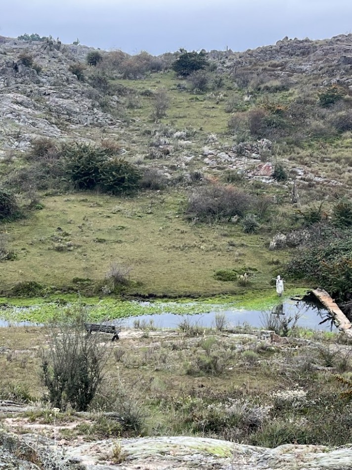Complejo de Cabañas Premium en La Cumbrecita