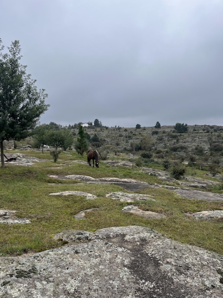 Complejo de Cabañas Premium en La Cumbrecita