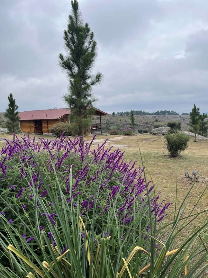 Complejo de Cabañas Premium en La Cumbrecita