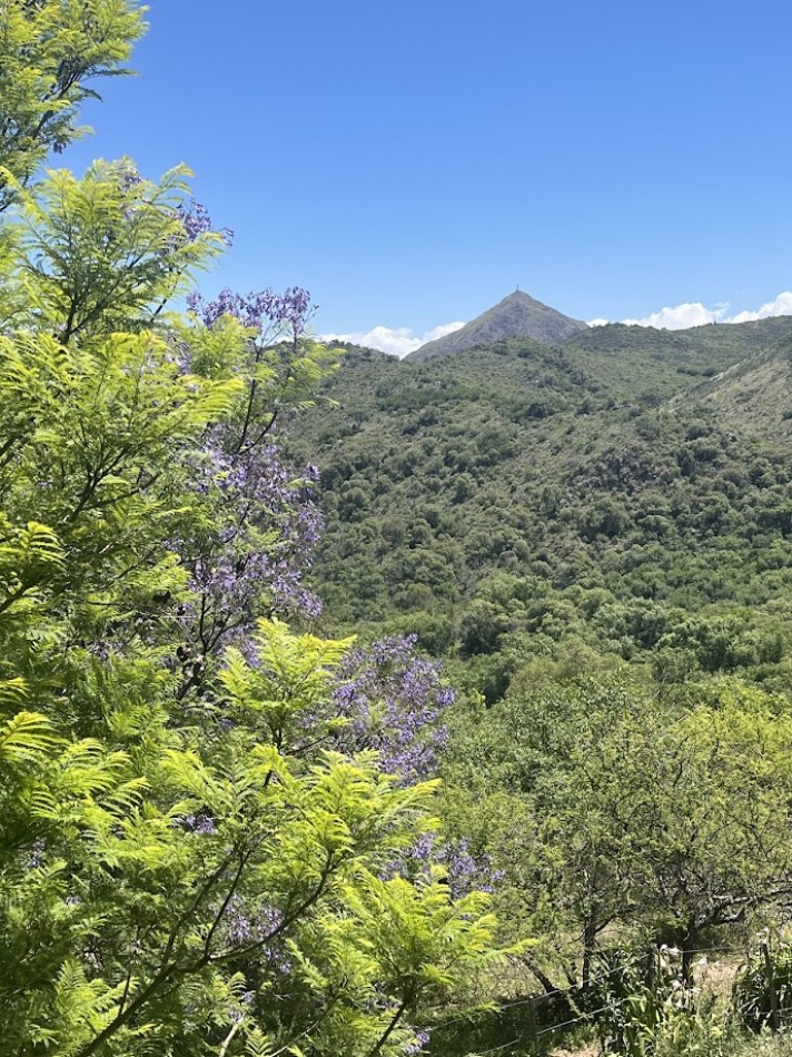  ¡Oportunidad unica! Campo de 27.8 Ha con casa de ensueño Camino al Pan de Azucar