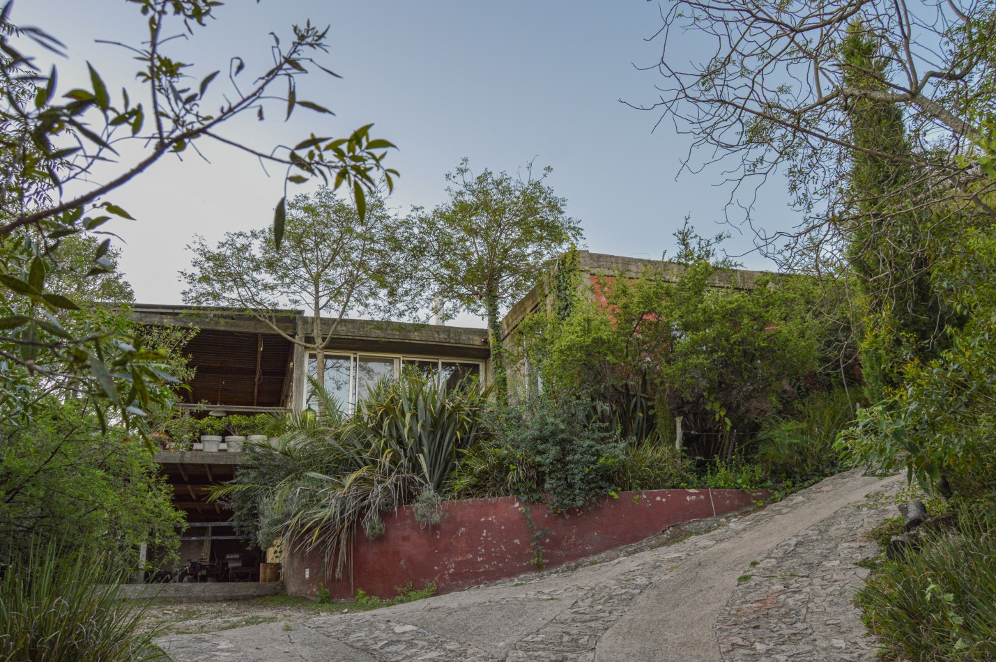  ¡Oportunidad unica! Campo de 27.8 Ha con casa de ensueño Camino al Pan de Azucar