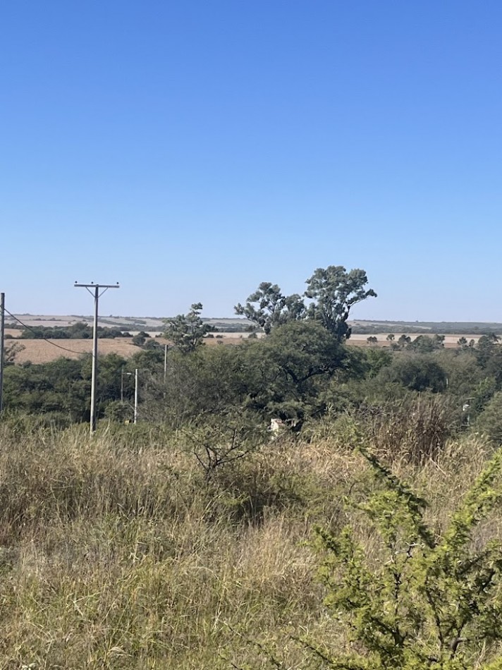 Lotes en Comuna Los Molinos