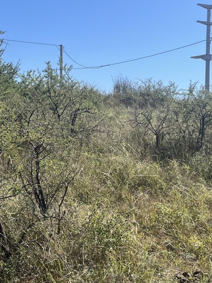 Lotes en Comuna Los Molinos