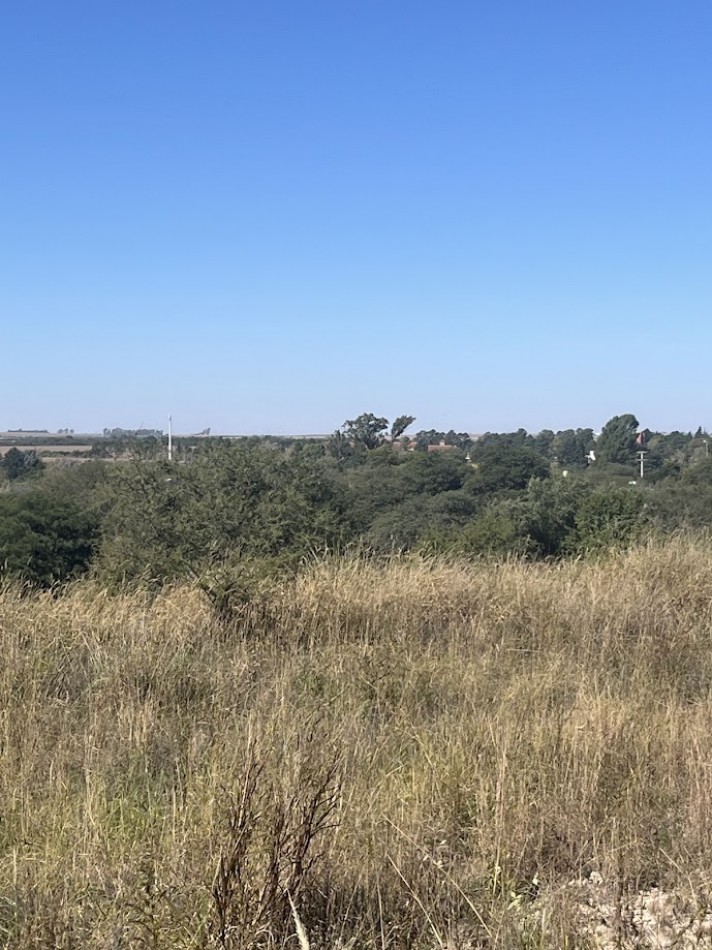 Lotes en Comuna Los Molinos