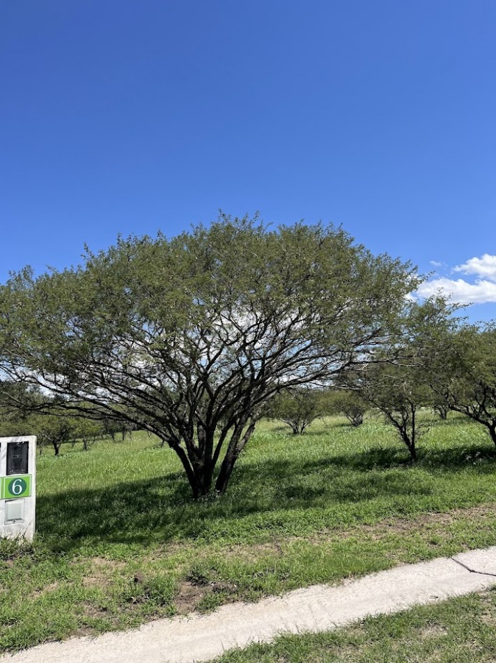 Lotes en Altos de la Reserva - Alta Gracia