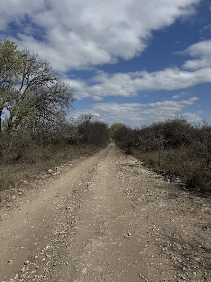 Campo en Quillinzo USD 5000/Ha
