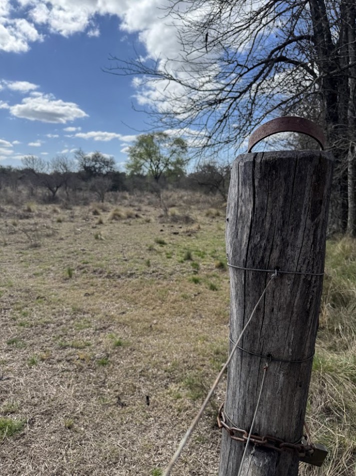 Campo en Quillinzo USD 5000/Ha
