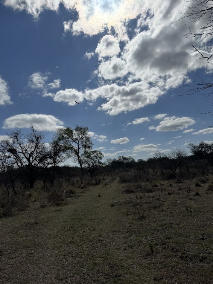 Campo en Quillinzo USD 5000/Ha