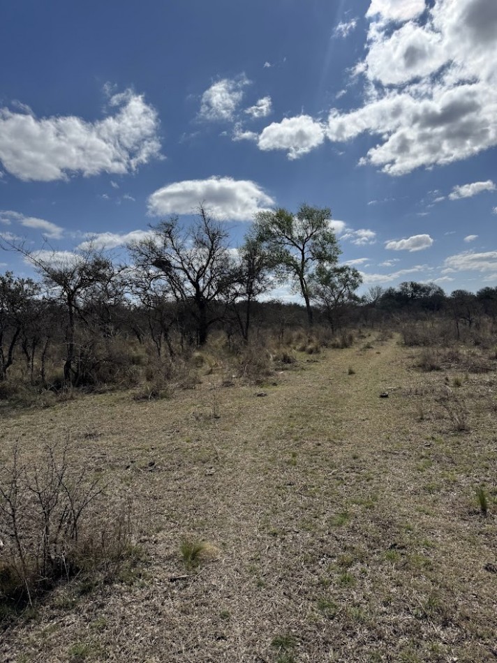 Campo en Quillinzo USD 5000/Ha