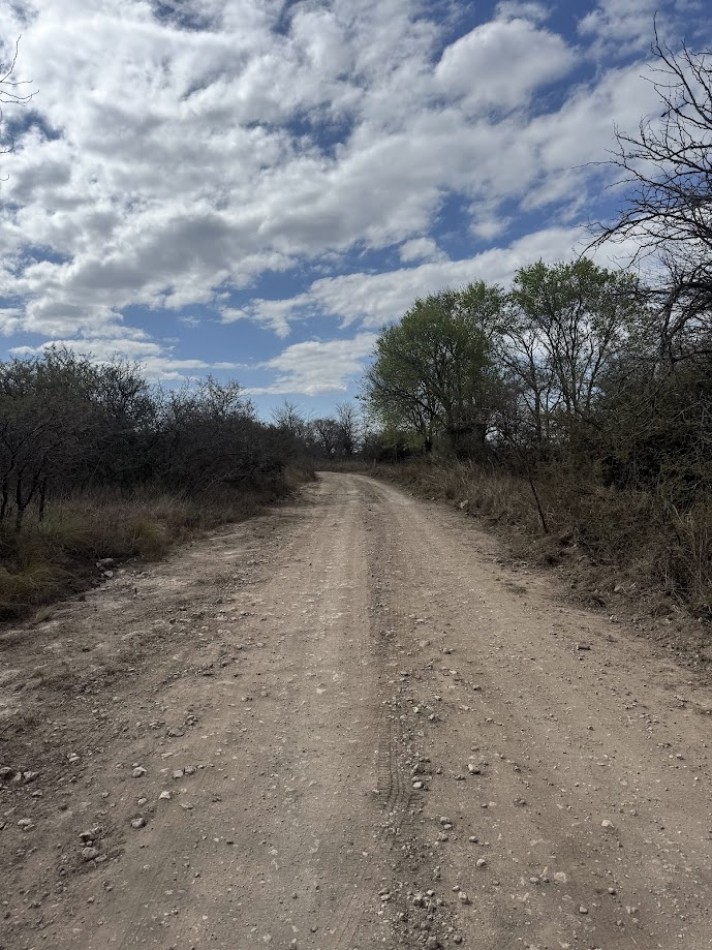 Campo en Quillinzo USD 5000/Ha