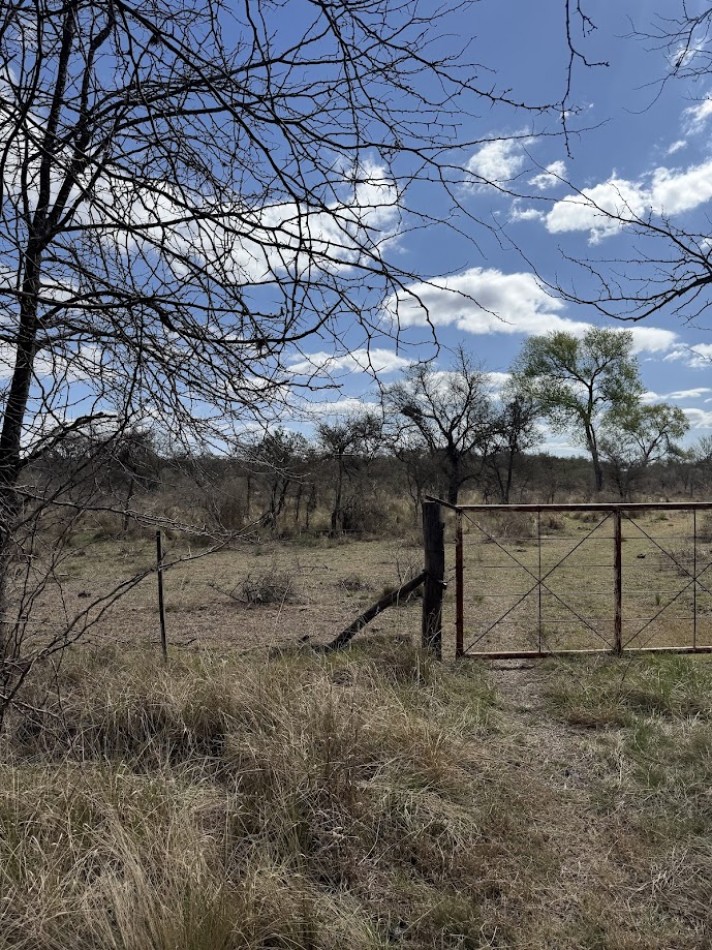 Campo en Quillinzo USD 5000/Ha