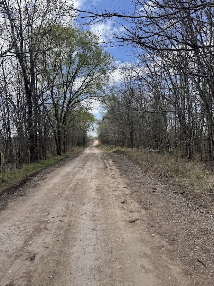 Campo en Quillinzo USD 5000/Ha