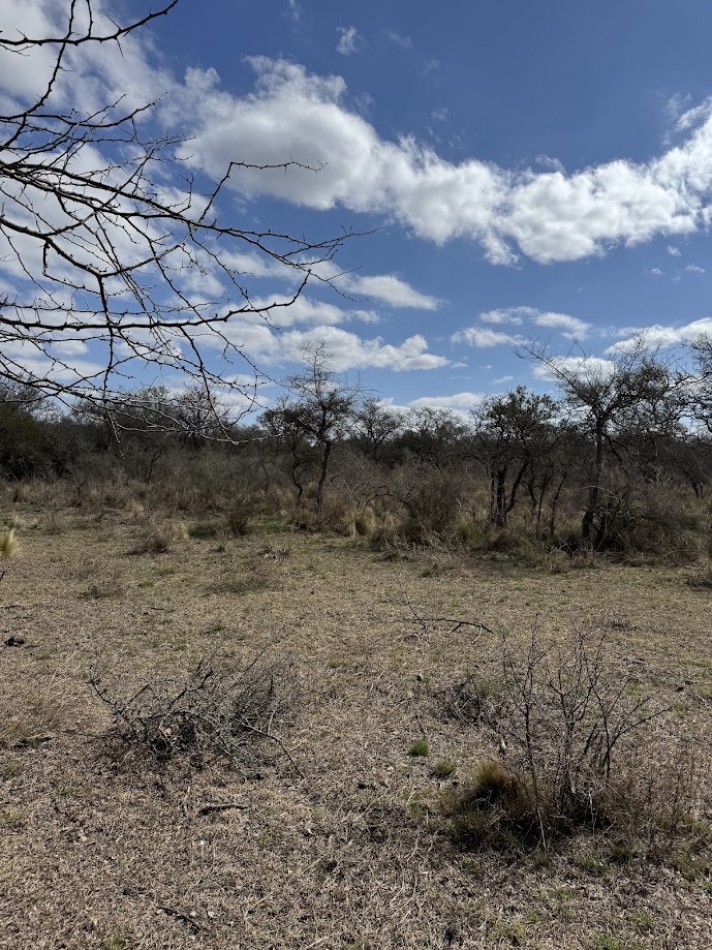 Campo en Quillinzo USD 5000/Ha
