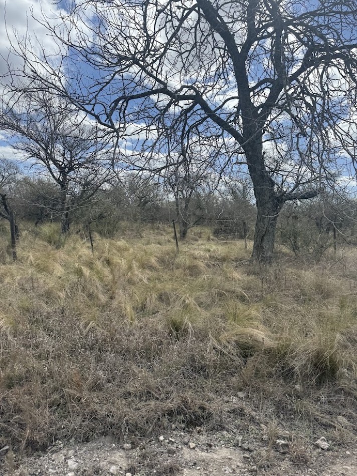 Campo en Quillinzo USD 5000/Ha