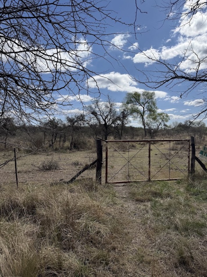 Campo en Quillinzo USD 5000/Ha