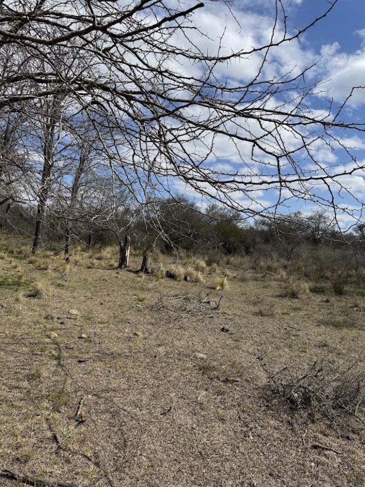 Campo en Quillinzo USD 5000/Ha