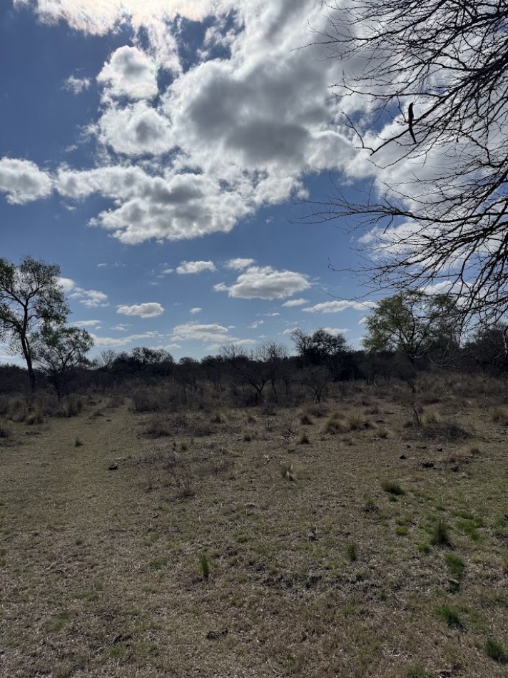 Campo en Quillinzo USD 5000/Ha