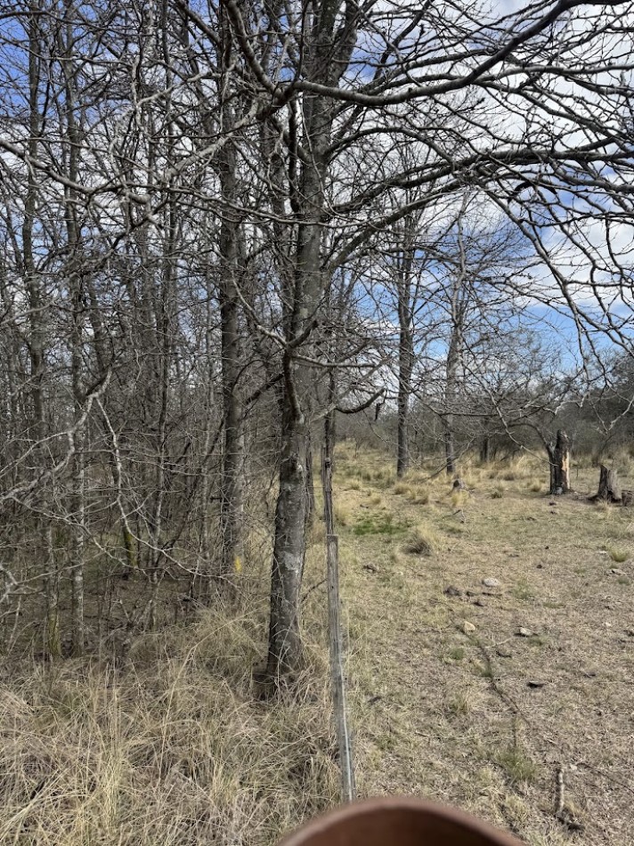 Campo en Quillinzo USD 5000/Ha