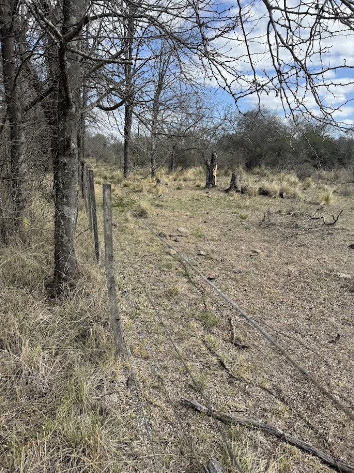 Campo en Quillinzo USD 5000/Ha