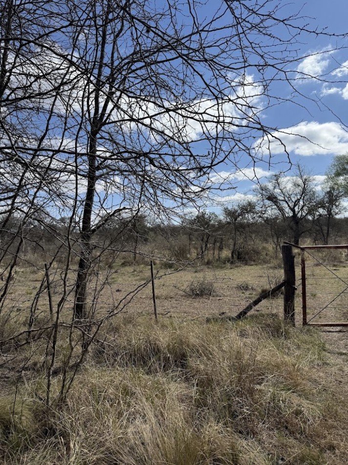 Campo en Quillinzo USD 5000/Ha