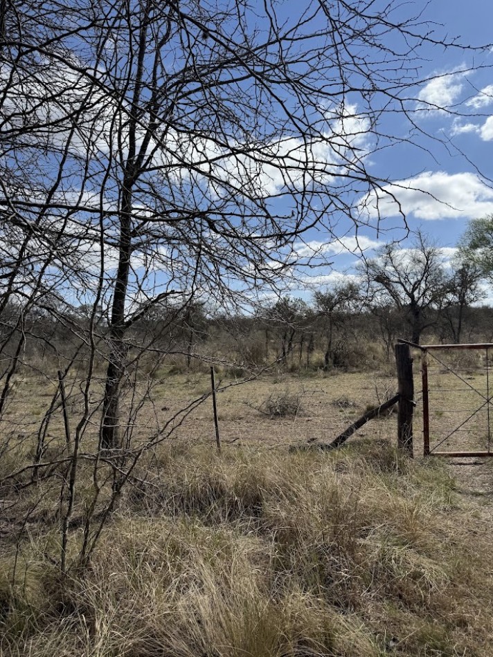 Campo en Quillinzo USD 5000/Ha