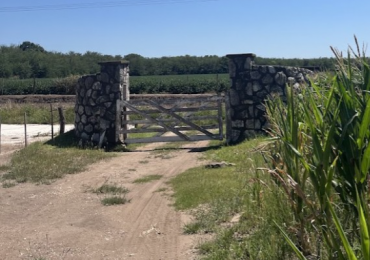 Oportunidad de Inversion - Campo de 33 ha ideal Complejo Vacacional o Proyecto Agroecologico