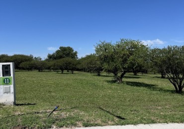 Lotes en Altos de la Reserva - Alta Gracia